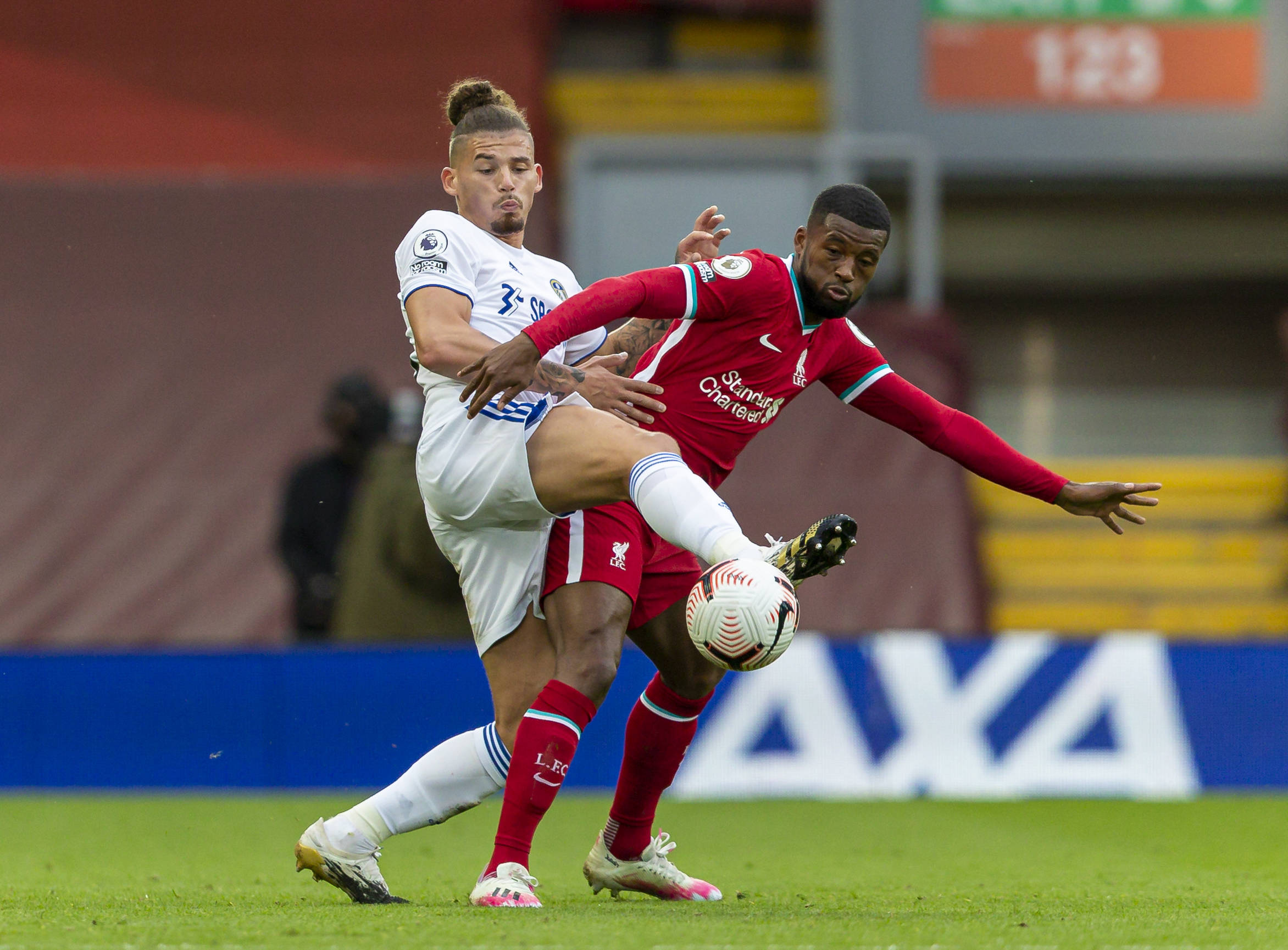 灰熊過於年 灰熊過於年